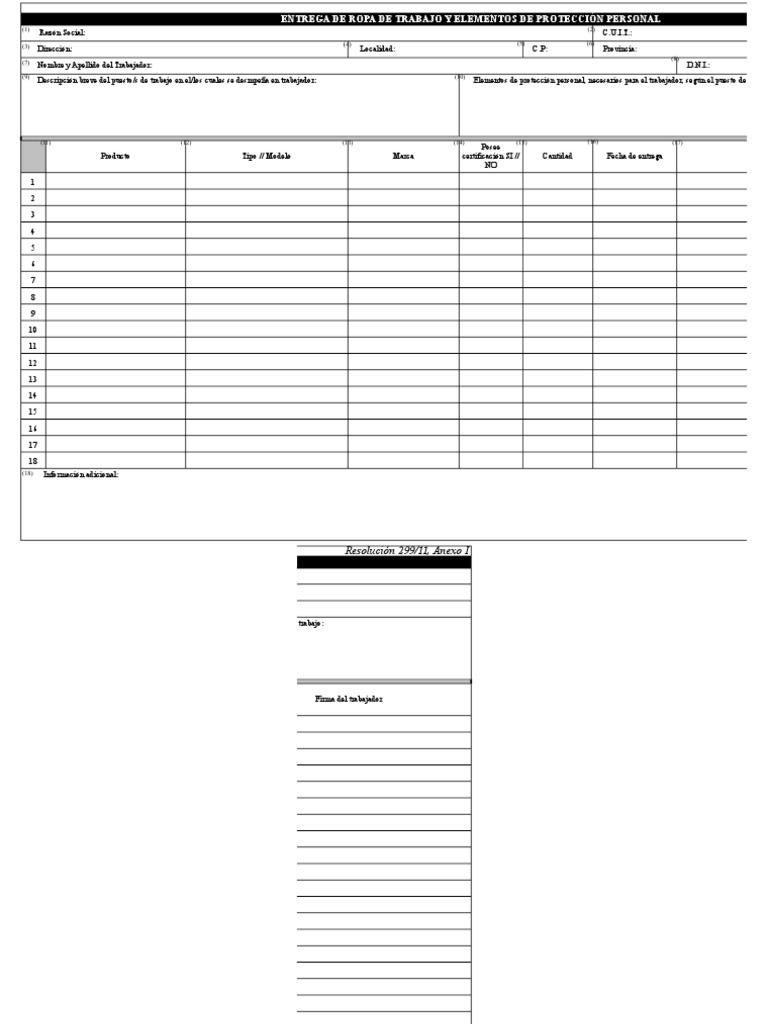 Formulario Epp | PDF | Informática