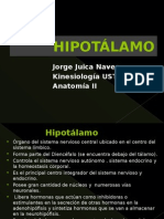 Hipotlamo 121213003418 Phpapp01