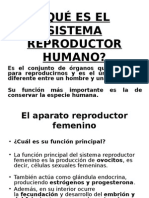 Sistema Reproductor Humano