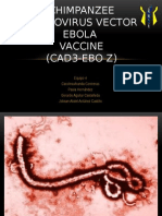 Chimpanzee Adenovirus Vector Ebola