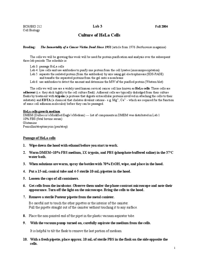 Culture of HeLa Cells | PDF | Cell Culture | Proteins