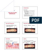 Tissue Mechanics - Ch3