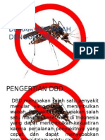 DBD Demam Berdarah Dengue