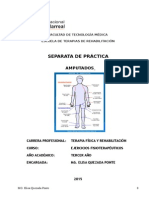 Fisioterapia en AMPUTADOS 