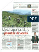 Amigos do Parque plantam 1000 pés - Madeira pensa futuro a plantar árvores