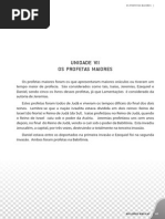 Reflexoes Biblicas Isaias Identidade Vocacao e Contexto Estudo16