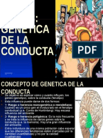 Tema 3 Genetica de La Conducta