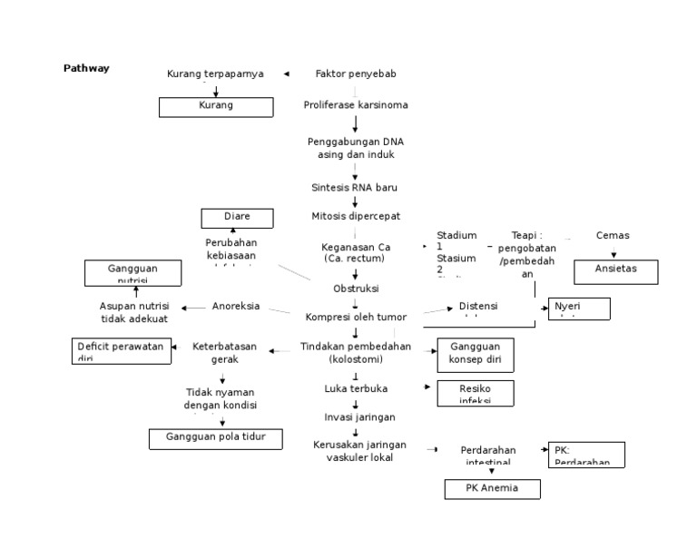 Pathway | PDF