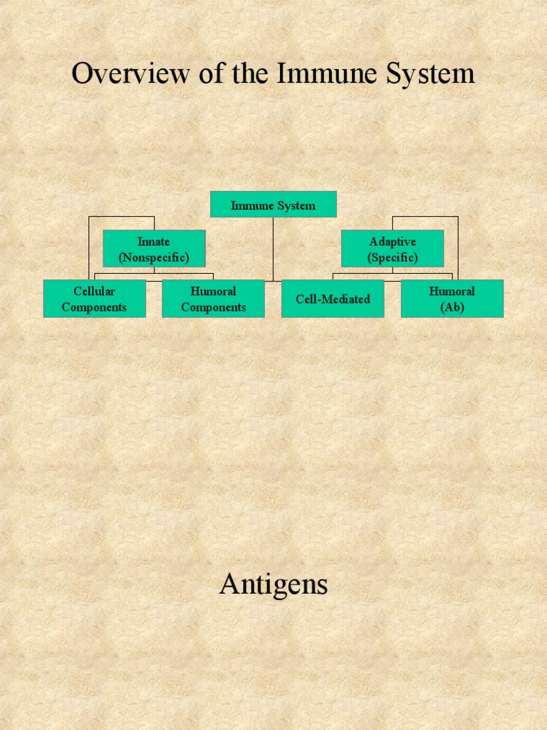 Overview Of The Immune System Pdf Immunogenicity Antigen
