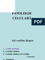 Patologie-celulara.ppt