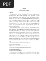 Download BAB II Tinjauan Pustaka Kecap by Muhammad William King Planetto SN286485282 doc pdf