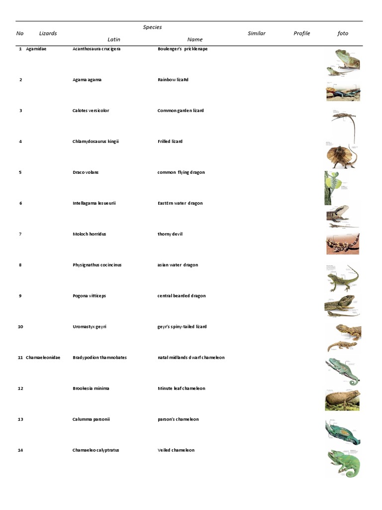 Comprehensive Lizard Species List | PDF | Science & Mathematics