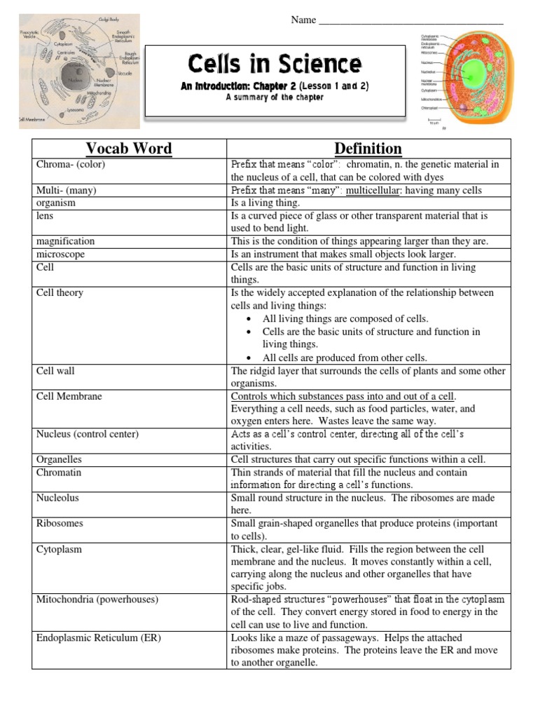 cells study guide Cytoplasm Cell (Biology)