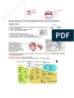 Embryology