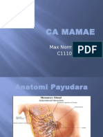 Breast CA.ppt