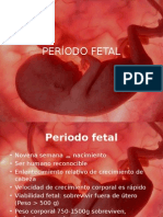 Periodo Fetal