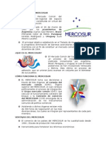 La Creación Del Mercosur