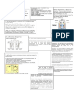 examen electroquimica 1