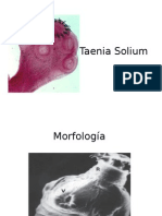 Taenia Solium: Morfología, Ciclo Biológico y Diagnóstico