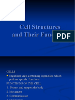 Cell Structures and Their Functions