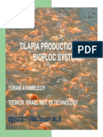 Tilapia Production in Biofloc Systems Maximizes Growth and Feed Efficiency