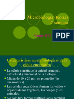 Semana 2 de micro