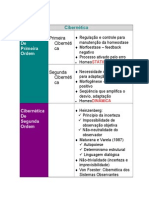 Cibernetica e Implicaçoes