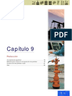 Capítulo 9. Producción