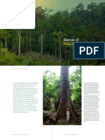 Status of Philippine Forests