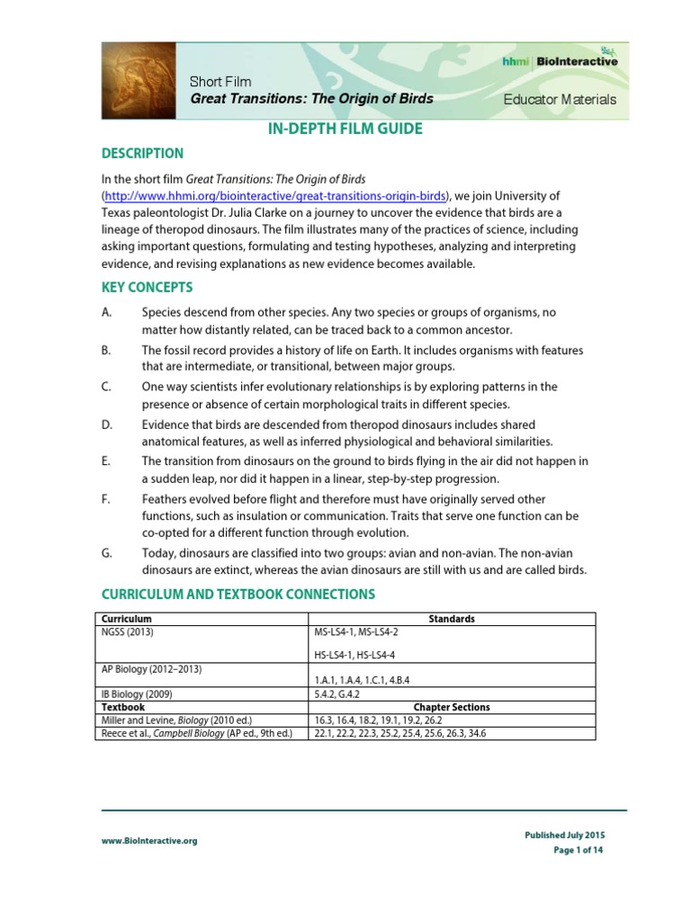 Idg Origin Of Birds Pdf Dinosaurs Birds