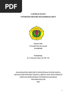 Download Lapsus Tonsilitis by NiKomangDhanaGitaiswari SN286622524 doc pdf