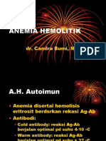 Anemia Hemolitik