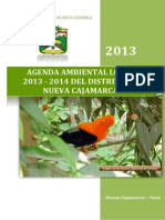 4.agenda Ambiental Local