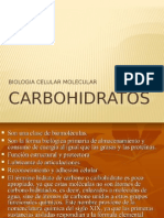 Carbohidratos