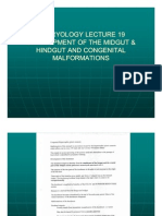 Embryology Lecture 19