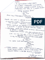 7 PDF