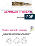 Asamblari Profilate