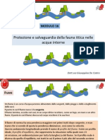 Modulo 16.pdf