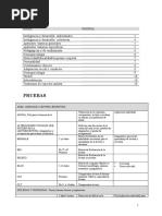 Listado de pruebas por áreas a evaluar.