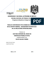 FAMILIAS CONFORMADAS POR JÓVENES DE 15 A 20 AÑOS  EN EL DISTRITO FEDERAL