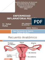 enfermedadinflamatoriapelvica-110115054245-phpapp01