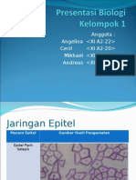 Presentasi Biologi kel. 1(jaringan epitel).ppt
