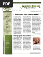 Livro Abelha Manduri Meliponicultura