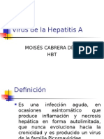 Virus de La Hepatitis A