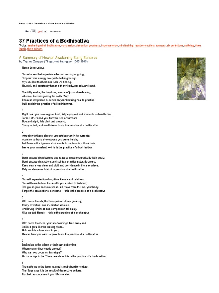 45+ 37 practices of a baby bodhisattva english edition ideas in 2021