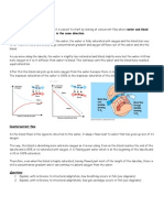 Countercurrent Flow Summary