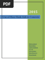 Download India - A Study on Use of Rice Husk Ash in Concrete Project Report - Dhaval - 020515 by Narayan Singhania SN286768130 doc pdf
