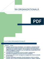 Analiza organizationala, cultura organizationala