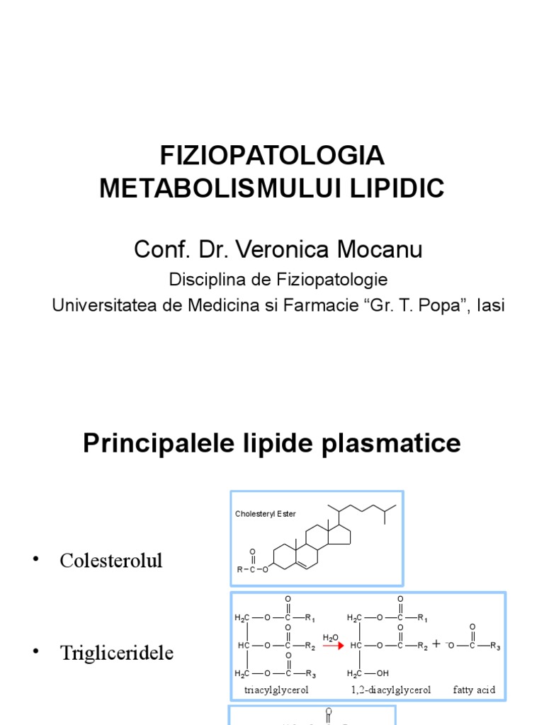 Curs 7 Lipidic Ats S | PDF