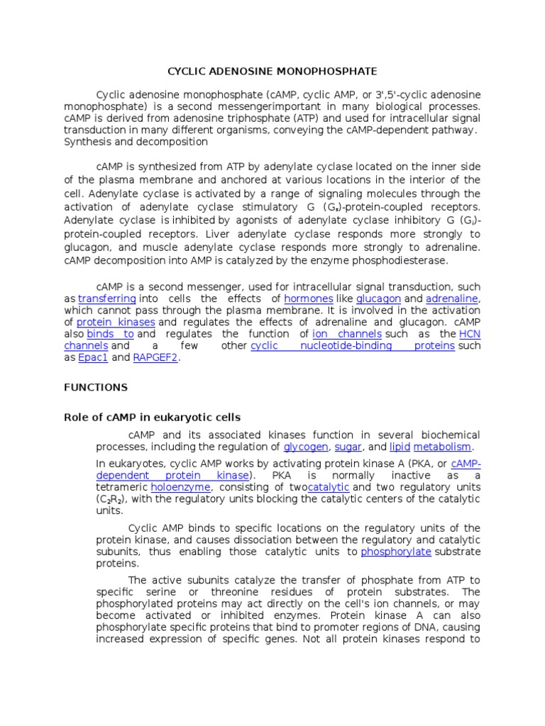 Cyclic Adenosine Monophosphate | PDF | Biochemistry | Chemistry